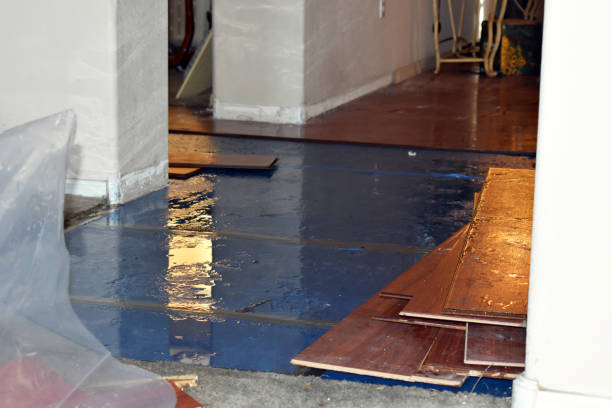 Professional Water Damage Restoration technician working in Elwood, UT